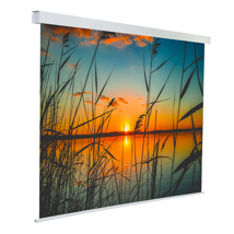 Electric projection screens, 1/1 format, without black border - Reef